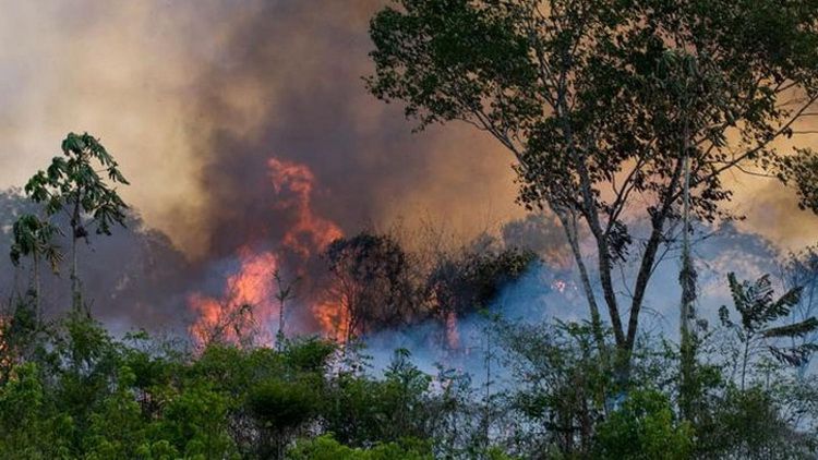 Пожежі в бразильських дощових лісах Амазонії набули нечуваних масштабів Пожежі в бразильських дощових лісах Амазонії набули нечуваних масштабів